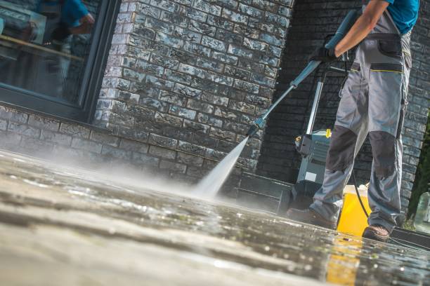 Best Graffiti Removal  in Frankfort, IL