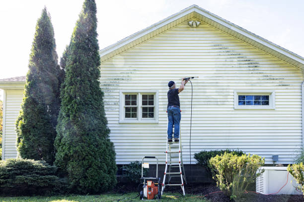 Best House Exterior Washing  in Frankfort, IL